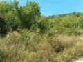 Продава ПАРЦЕЛ, област Перник, с. Долна Диканя • 72270 € • 95395325 — Holmes.bg
