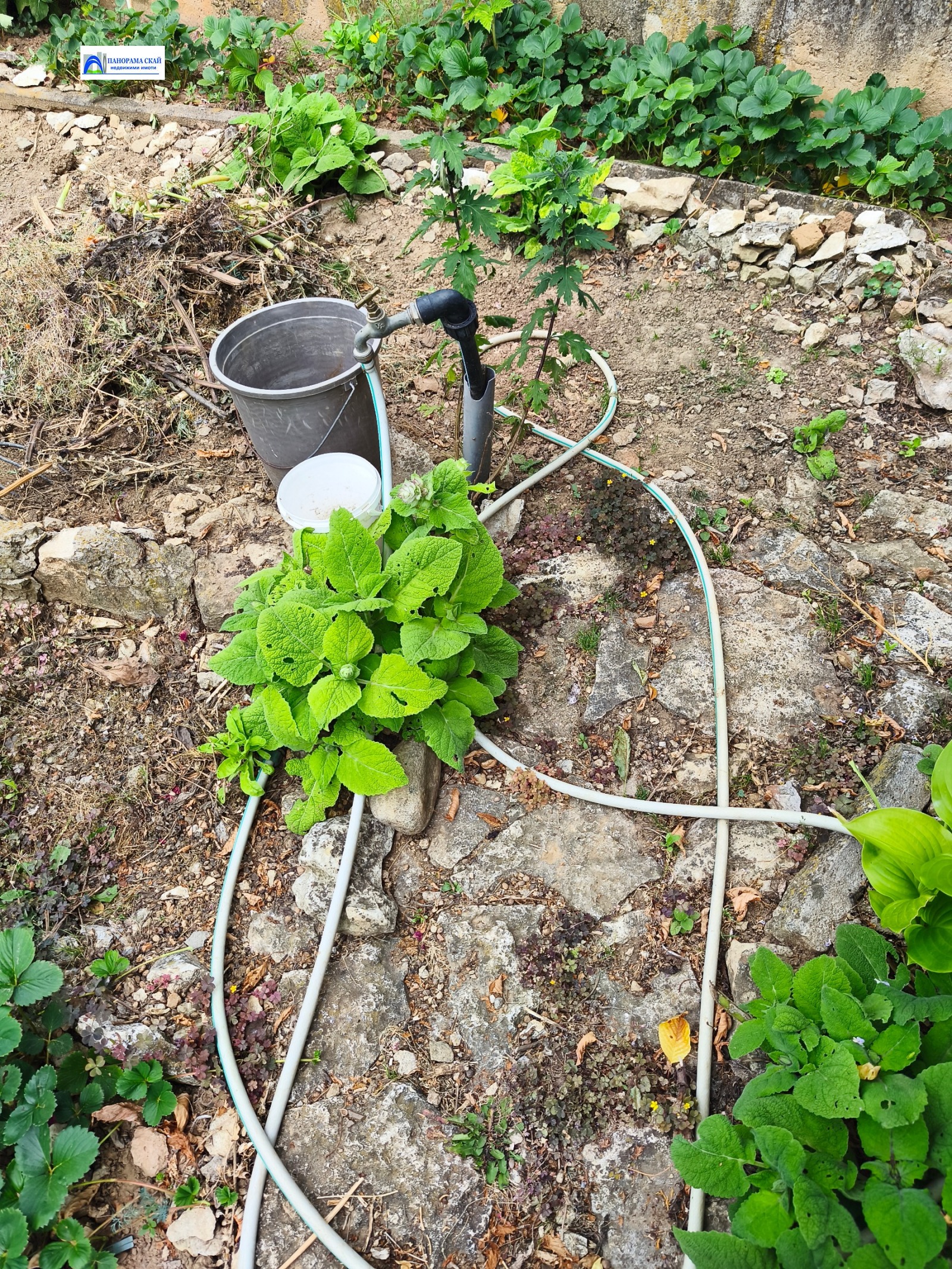 ������� ���� | Imot.bg � ����������� 15