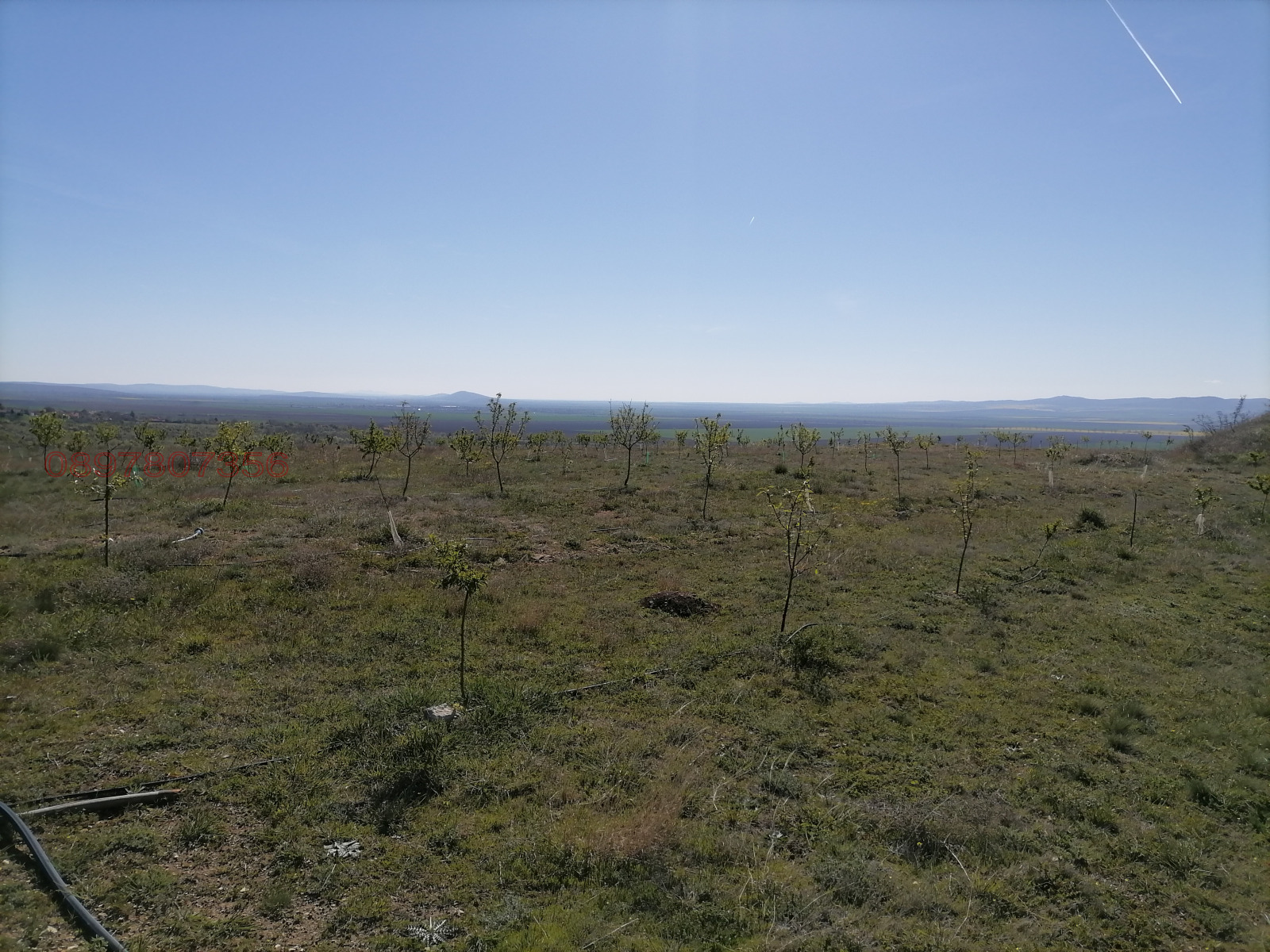 ������� ������ | Imot.bg � ����������� 1