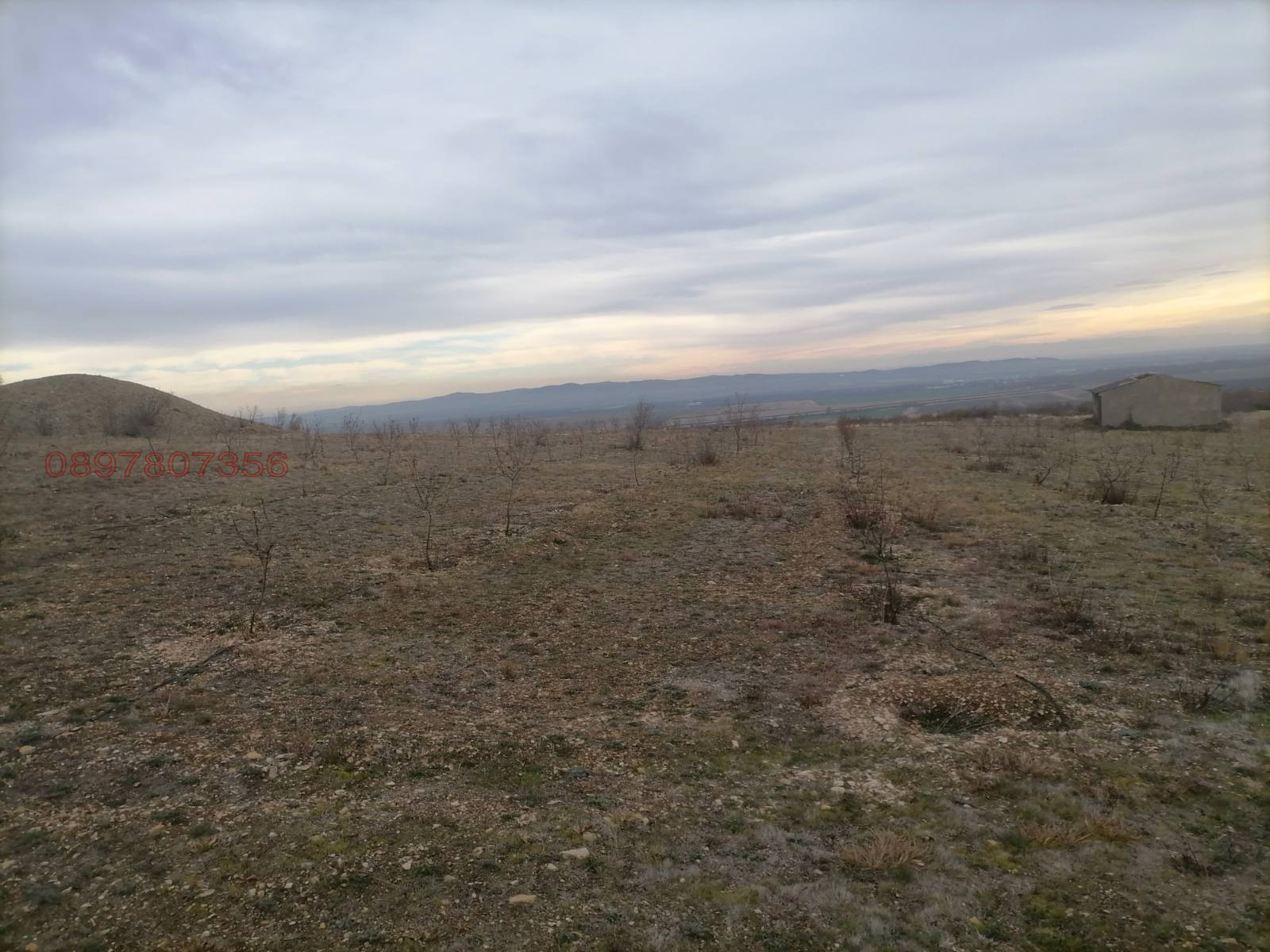 ������� ������ | Imot.bg � ����������� 2