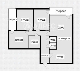 ����� ������� ����������,���� �����, �������