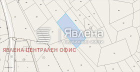 ����� ������� ������,�. �������, ������ ������