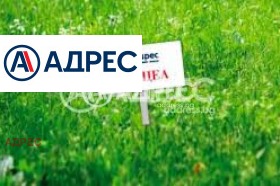 ����� ������� ������,�. �����, ������ �����