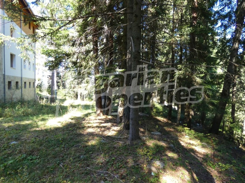 Продава ХОТЕЛ, с. Говедарци, област София област, снимка 7 - Хотели - 52716300