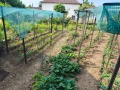 Продава КЪЩА, с. Пелишат, област Плевен, снимка 15