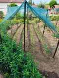 Продава КЪЩА, с. Пелишат, област Плевен, снимка 16