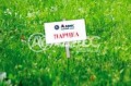 Продава ПАРЦЕЛ, с. Круша, област Варна, снимка 1