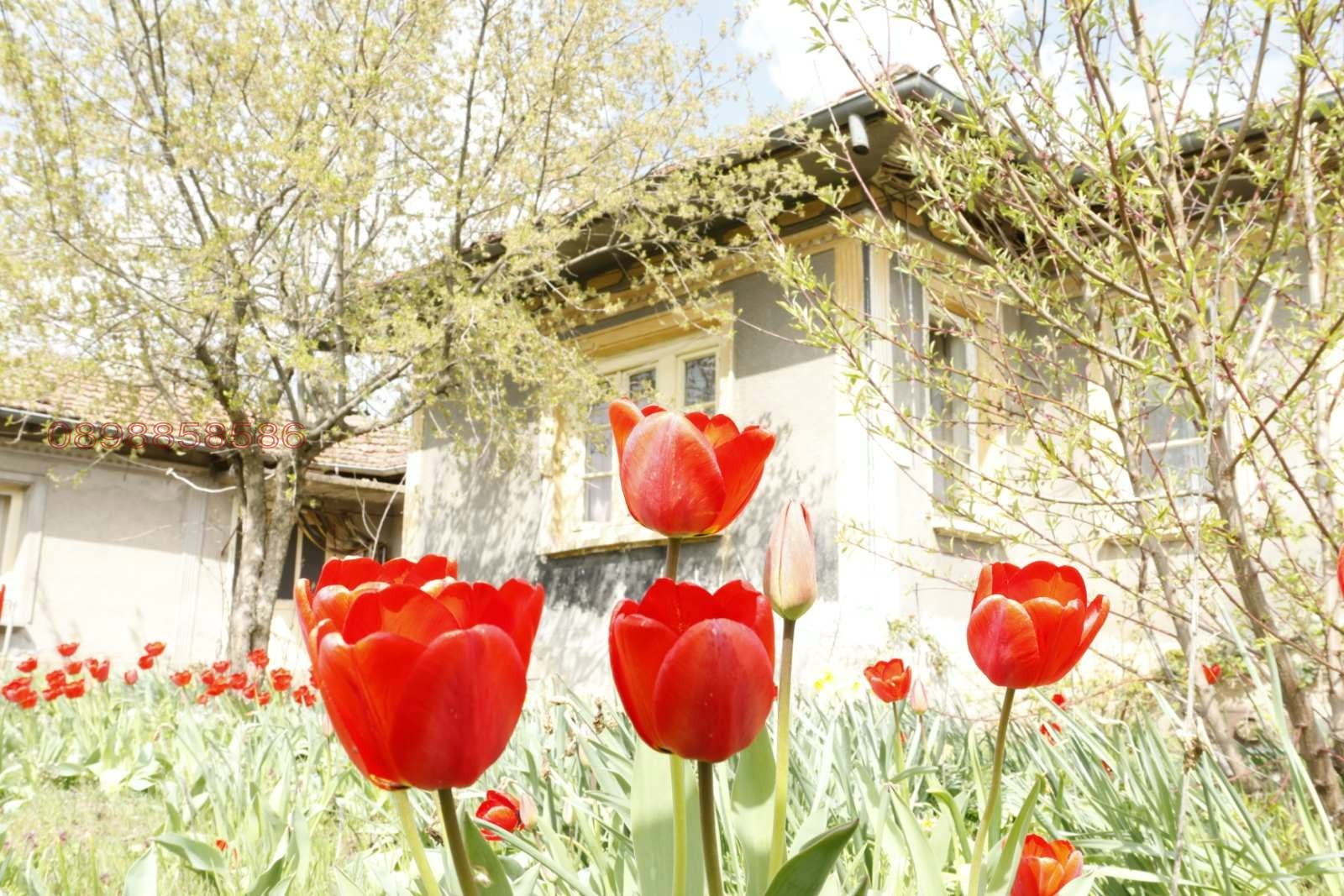 ������� ���� | Imot.bg � ����������� 1