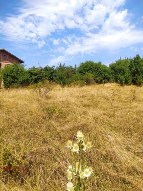 Парцел с. Кошарево, област Перник 2