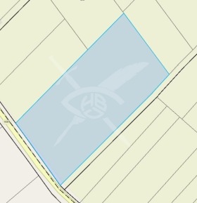 ������ ������� ������