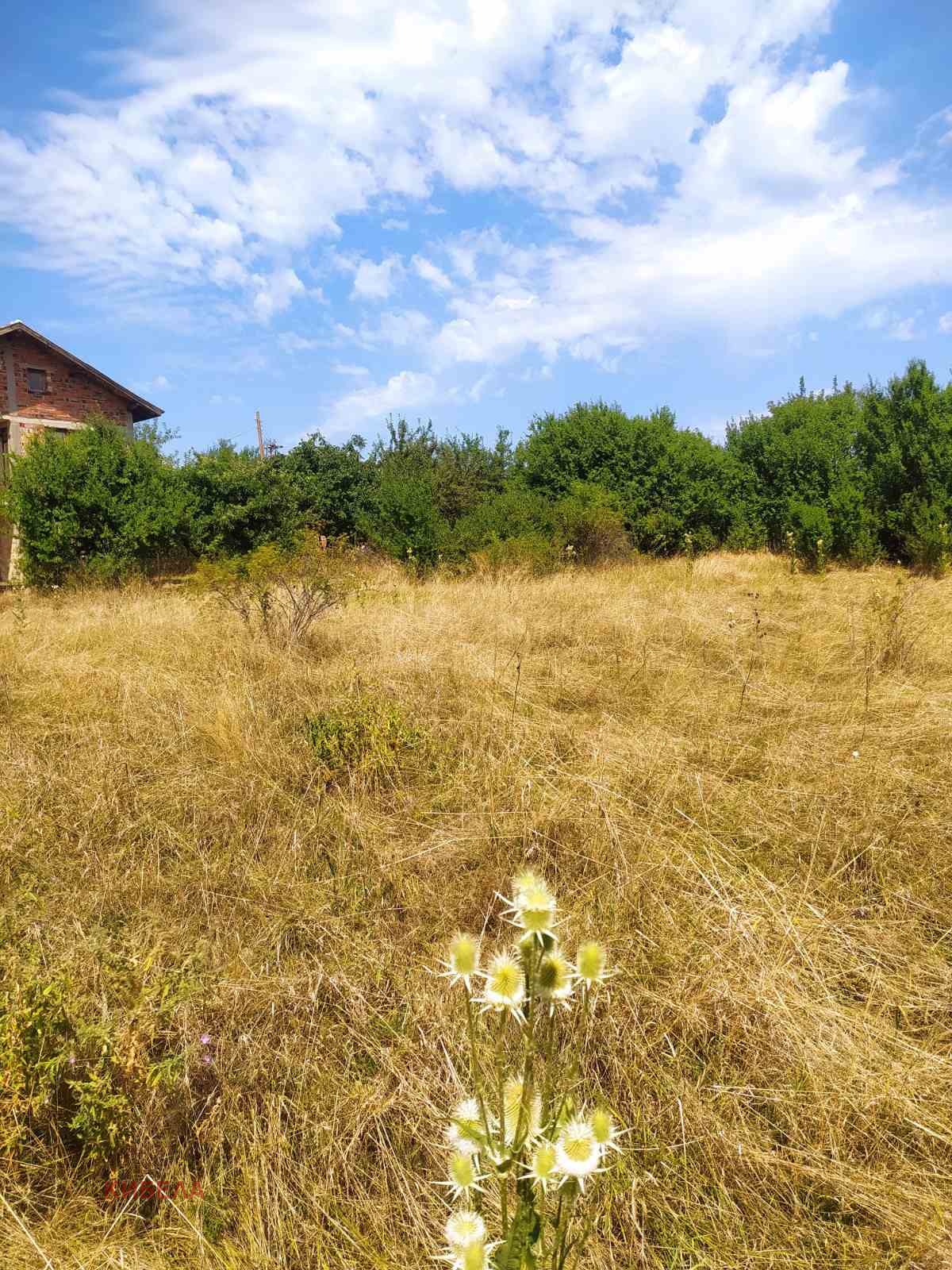 Продава ПАРЦЕЛ, с. Кошарево, област Перник, снимка 2 - Парцели - 52982909