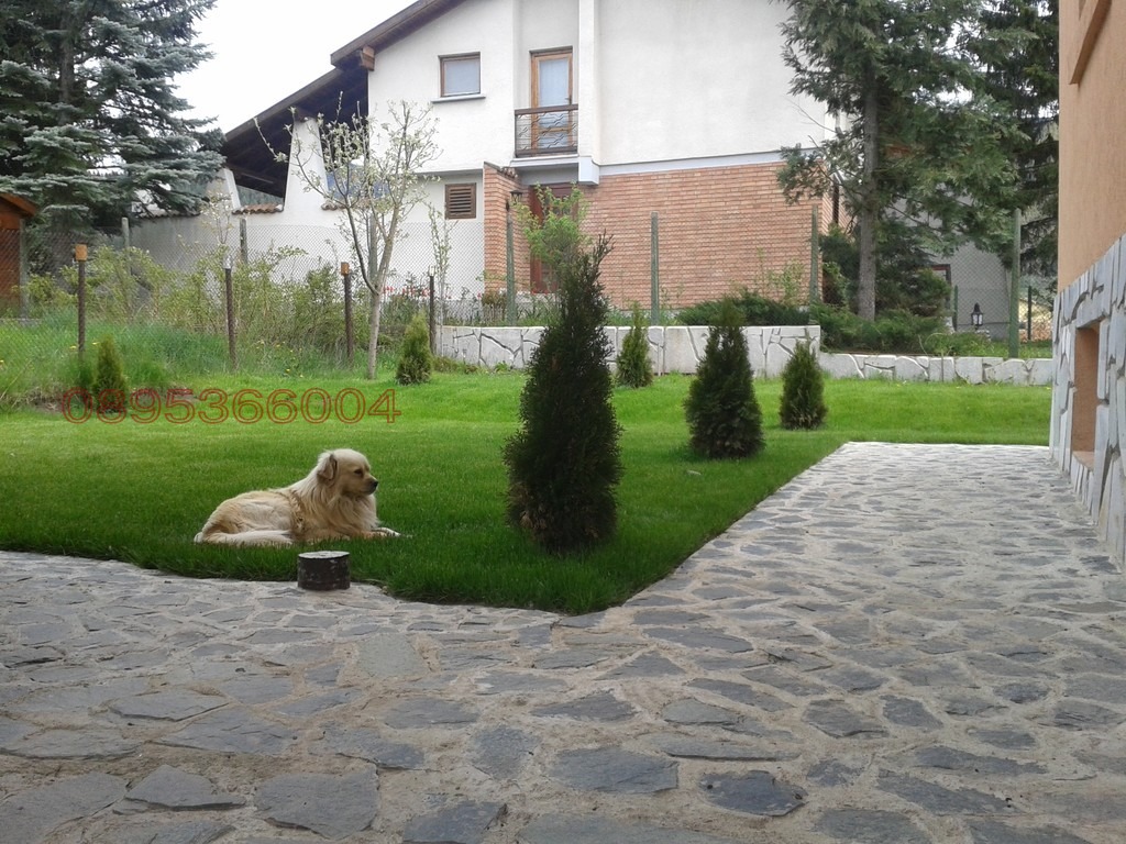Продава БИЗНЕС ИМОТ, с. Мала църква, област София област, снимка 3 - Други - 55636846