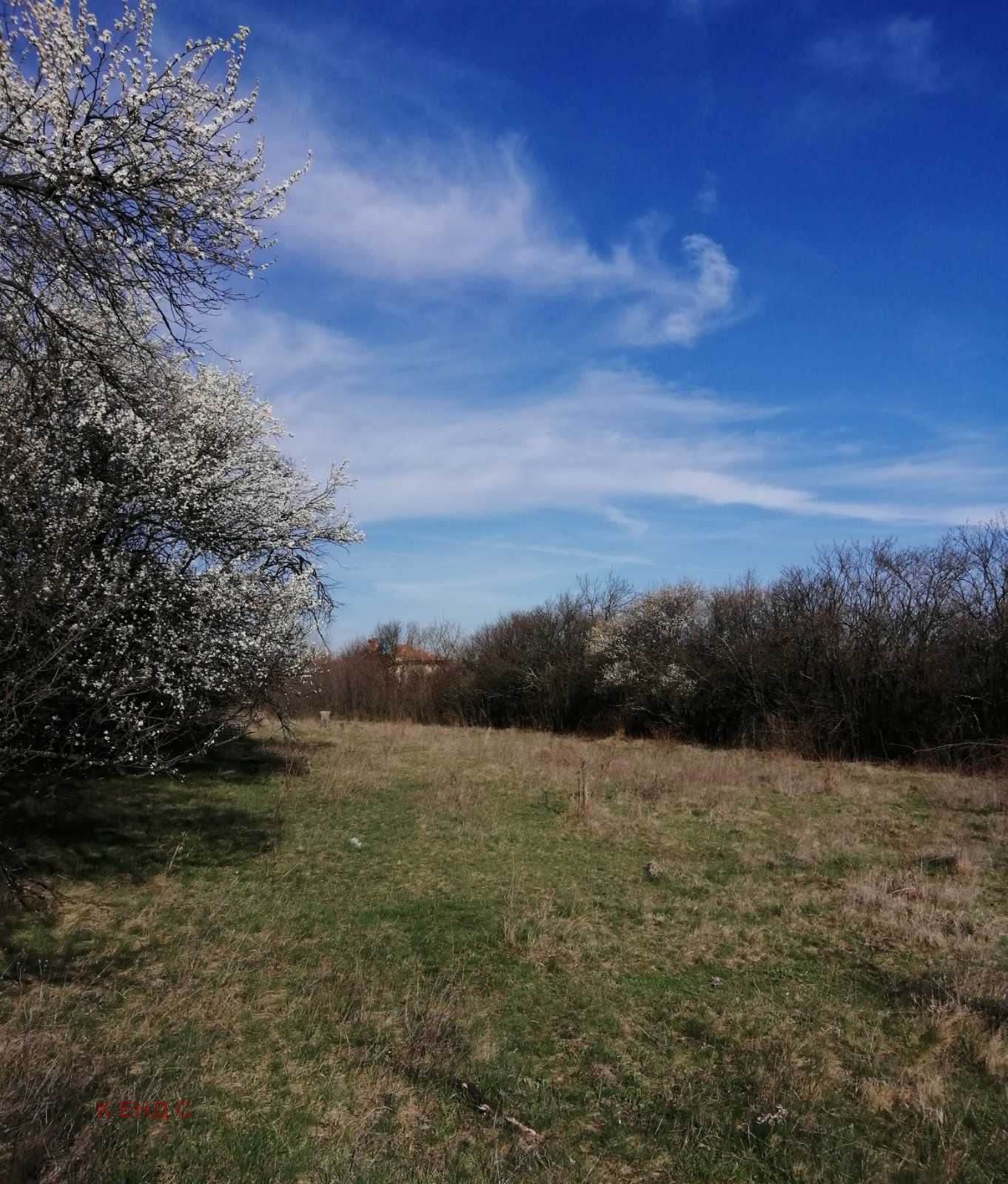 ������� ������ | Imot.bg � ����������� 1