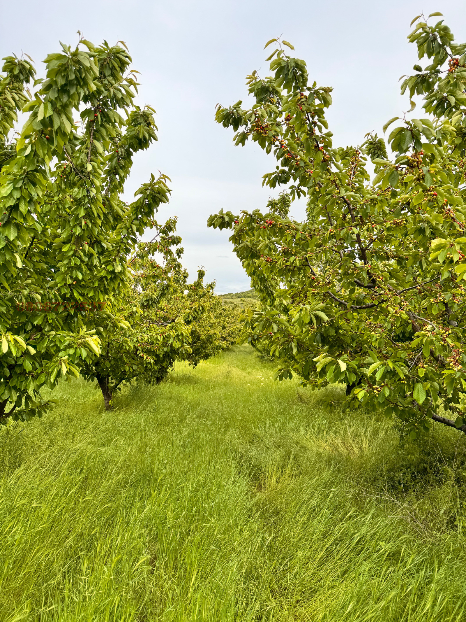������� ���������� ���� | Imot.bg � ����������� 1