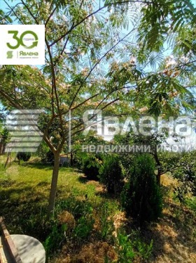 ������� ���� | Imot.bg � ����� ������ 8