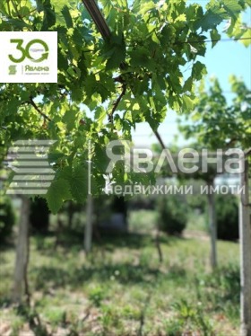 ������� ���� | Imot.bg � ����� ������ 7