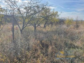 ������� ������ | Imot.bg � ����� ������ 3