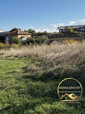 ����� ������� ������,�. �����, ������ �������