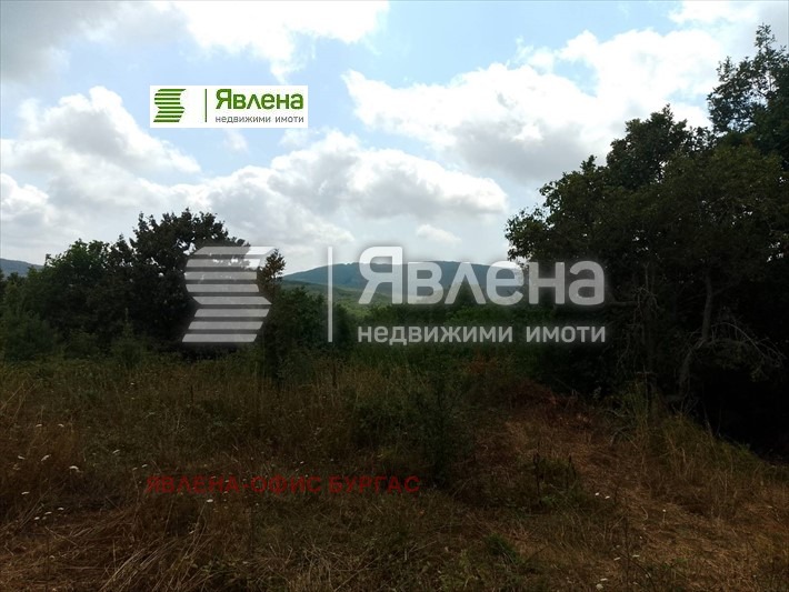 Продаја  Плот регион Бургас , Изгрев , 1081 м2 | 48536799 - слика [5]