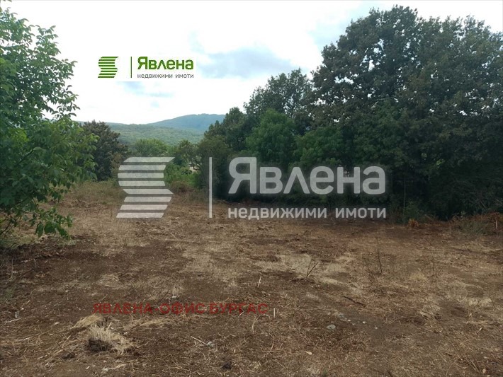 Продаја  Плот регион Бургас , Изгрев , 1081 м2 | 48536799