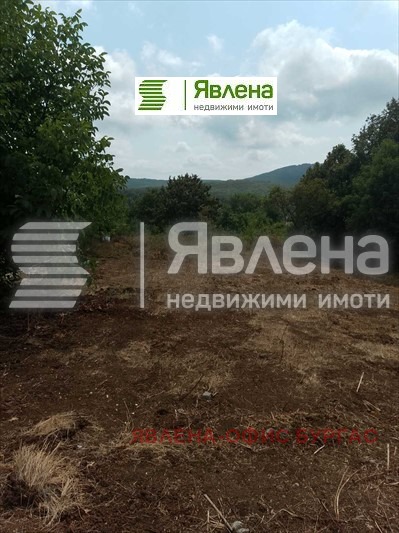Продаја  Плот регион Бургас , Изгрев , 1081 м2 | 48536799 - слика [3]