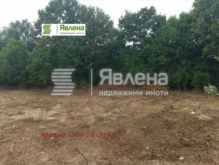 Продаја  Плот регион Бургас , Изгрев , 1081 м2 | 48536799 - слика [4]