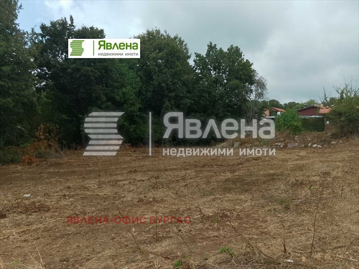 Продаја  Плот регион Бургас , Изгрев , 1081 м2 | 48536799 - слика [9]