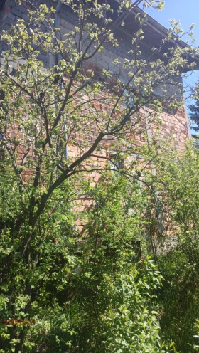 Hus Selishten dol, region Pernik 2