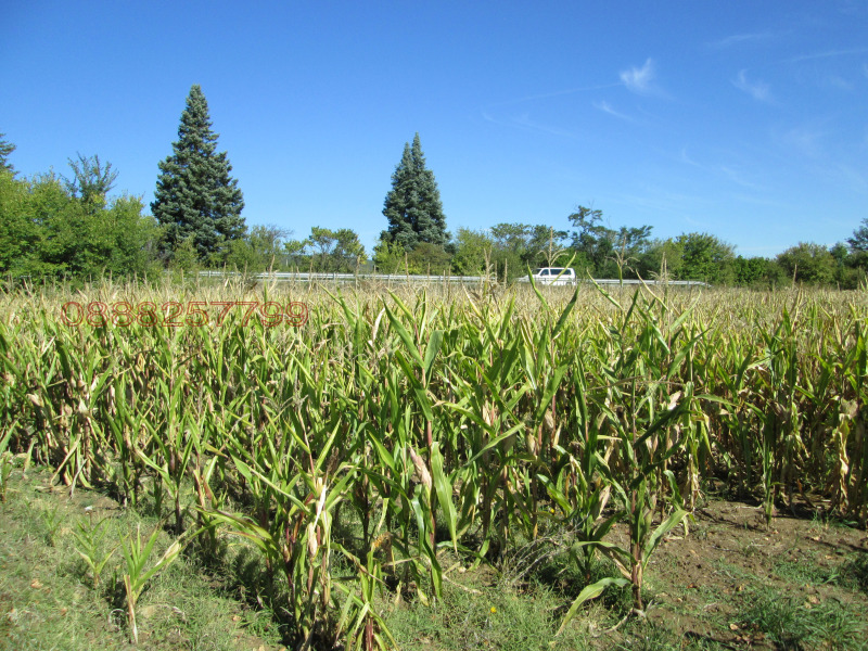 Продава ЗЕМЕДЕЛСКА ЗЕМЯ, с. Горна Малина, област София област, снимка 3 - Земеделска земя - 53406841