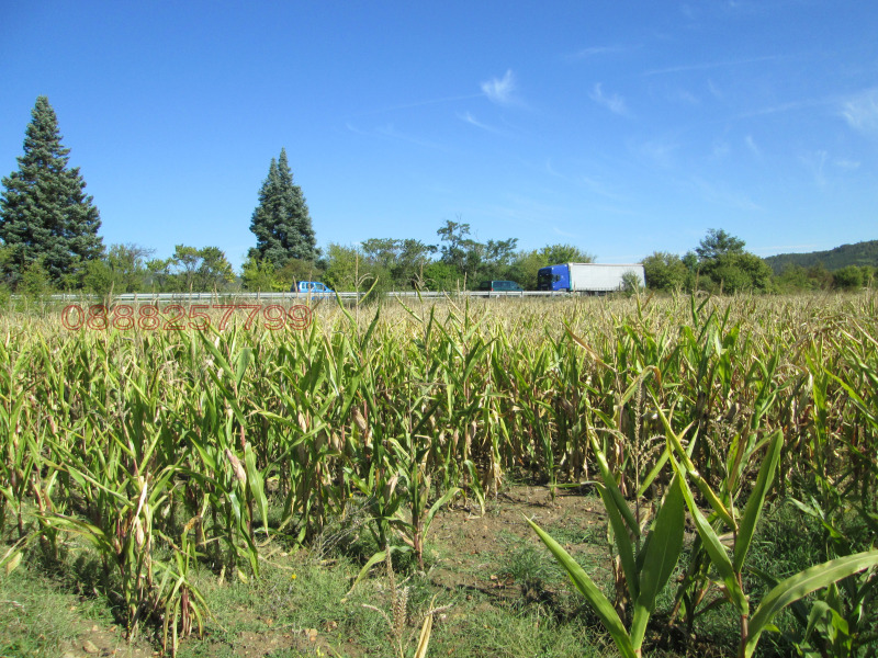 Продава ЗЕМЕДЕЛСКА ЗЕМЯ, с. Горна Малина, област София област, снимка 6 - Земеделска земя - 53406841
