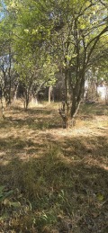 Продава  Къща област Перник , с. Червена могила , 40 кв.м | 51027993 - изображение [4]