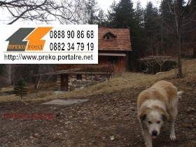 ����� ������� ����� ������,�. ������, ������ �����