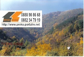 ����� ������� ����� ������,�. ������, ������ �����