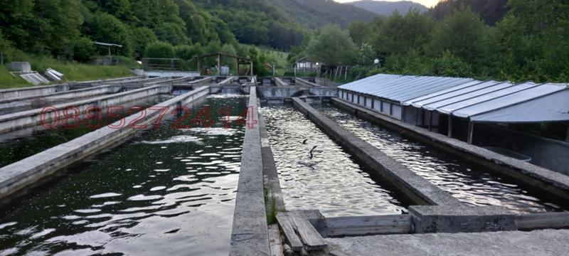 Продава БИЗНЕС ИМОТ, гр. Якоруда, област Благоевград, снимка 2 - Други - 52782697