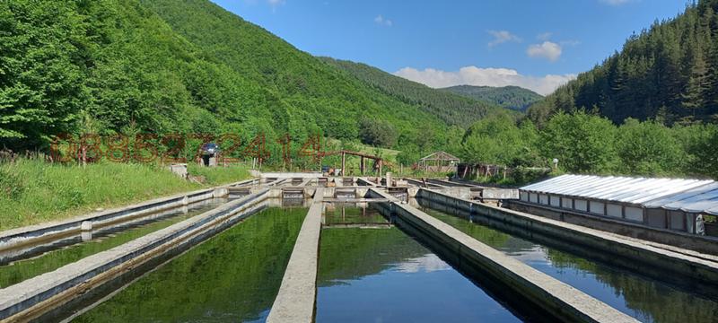 Продава БИЗНЕС ИМОТ, гр. Якоруда, област Благоевград, снимка 3 - Други - 52782697