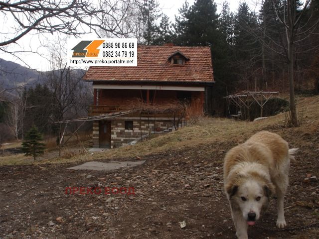 Продава БИЗНЕС ИМОТ, с. Оселна, област Враца, снимка 2 - Други - 53378986