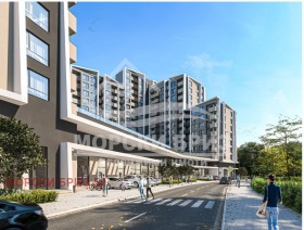 ����� ������� 3-�����,���� ������, ������