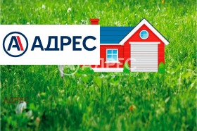 ������ ������� ����