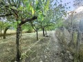 Продава КЪЩА, област Русе, с. Ценово • 85900 € • 97270626 — Holmes.bg