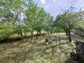Продава КЪЩА, област Русе, с. Ценово • 85900 € • 97270626 — Holmes.bg