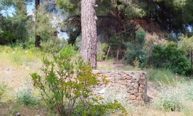 Продава КЪЩА, Извън страната, област Извън страната, снимка 7 - Къщи - 51238857