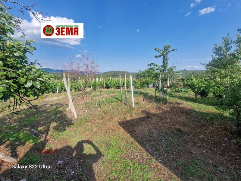 Продава  Къща област Пазарджик , с. Церово , 70 кв.м | 79691515 - изображение [8]