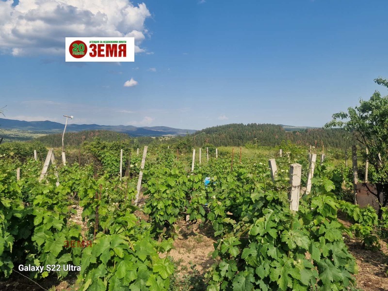 Продава  Къща област Пазарджик , с. Церово , 70 кв.м | 79691515 - изображение [9]