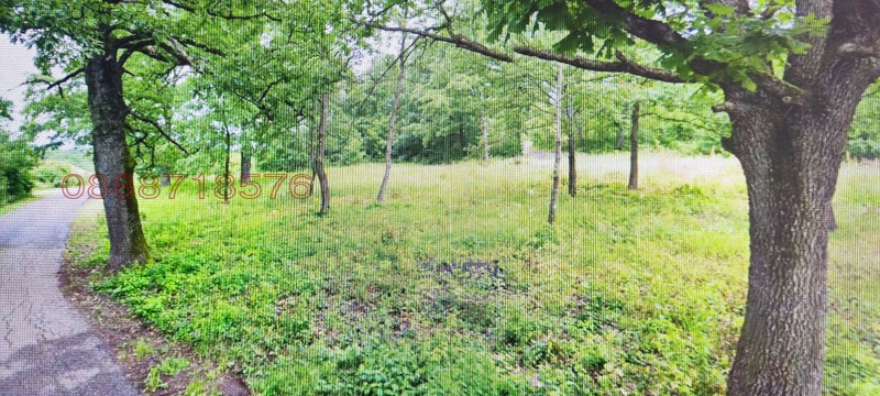 Продава ПАРЦЕЛ, гр. Монтана, Огоста, снимка 9 - Парцели - 52783574