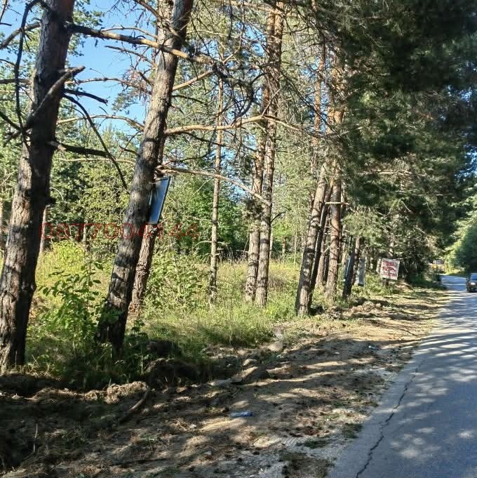 Продава ПАРЦЕЛ, яз. Батак, област Пазарджик, снимка 4 - Парцели - 55942013