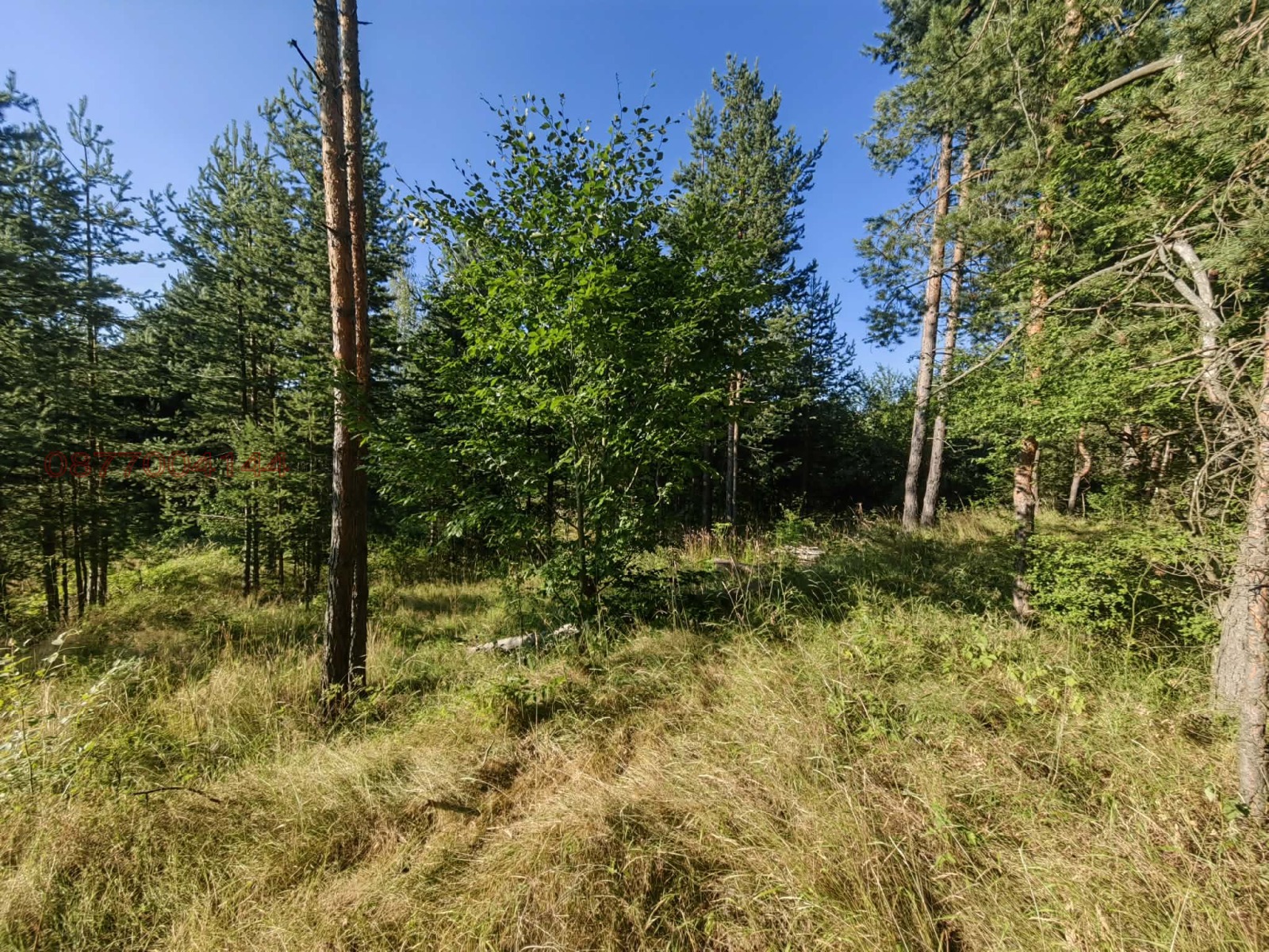 Продава ПАРЦЕЛ, яз. Батак, област Пазарджик, снимка 2 - Парцели - 55942013