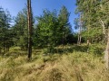 Продава ПАРЦЕЛ, яз. Батак, област Пазарджик, снимка 2