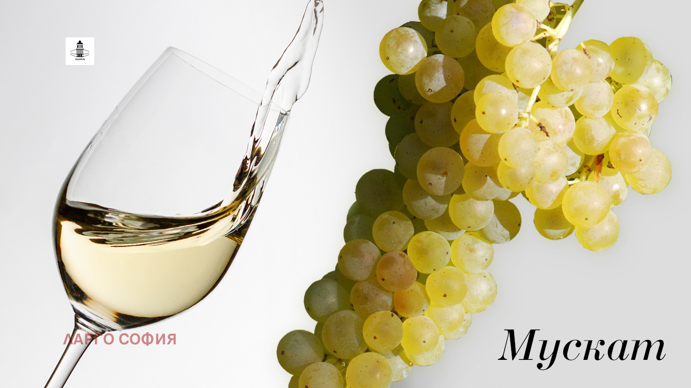 Продава ЗЕМЕДЕЛСКА ЗЕМЯ | Imot.bg — изображение 3