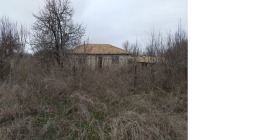 ����� ������� ����,�. ���������, ������ �����