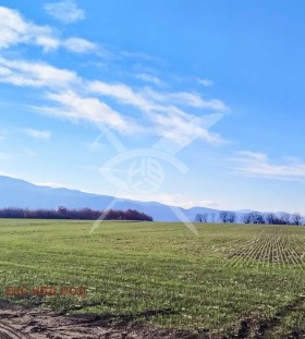Plott Velingrad, region Pazardzhik